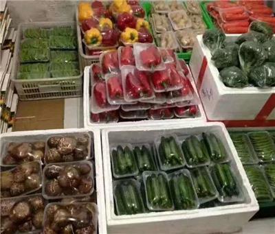 新鮮蔬菜零售與配送服務全解析 價格、批發與便捷之道