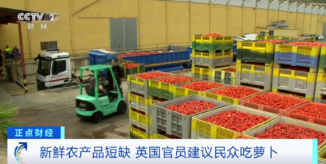 英國蔬菜短缺風(fēng)波 從“吃蘿卜”建議看供應(yīng)鏈脆弱與民生焦慮